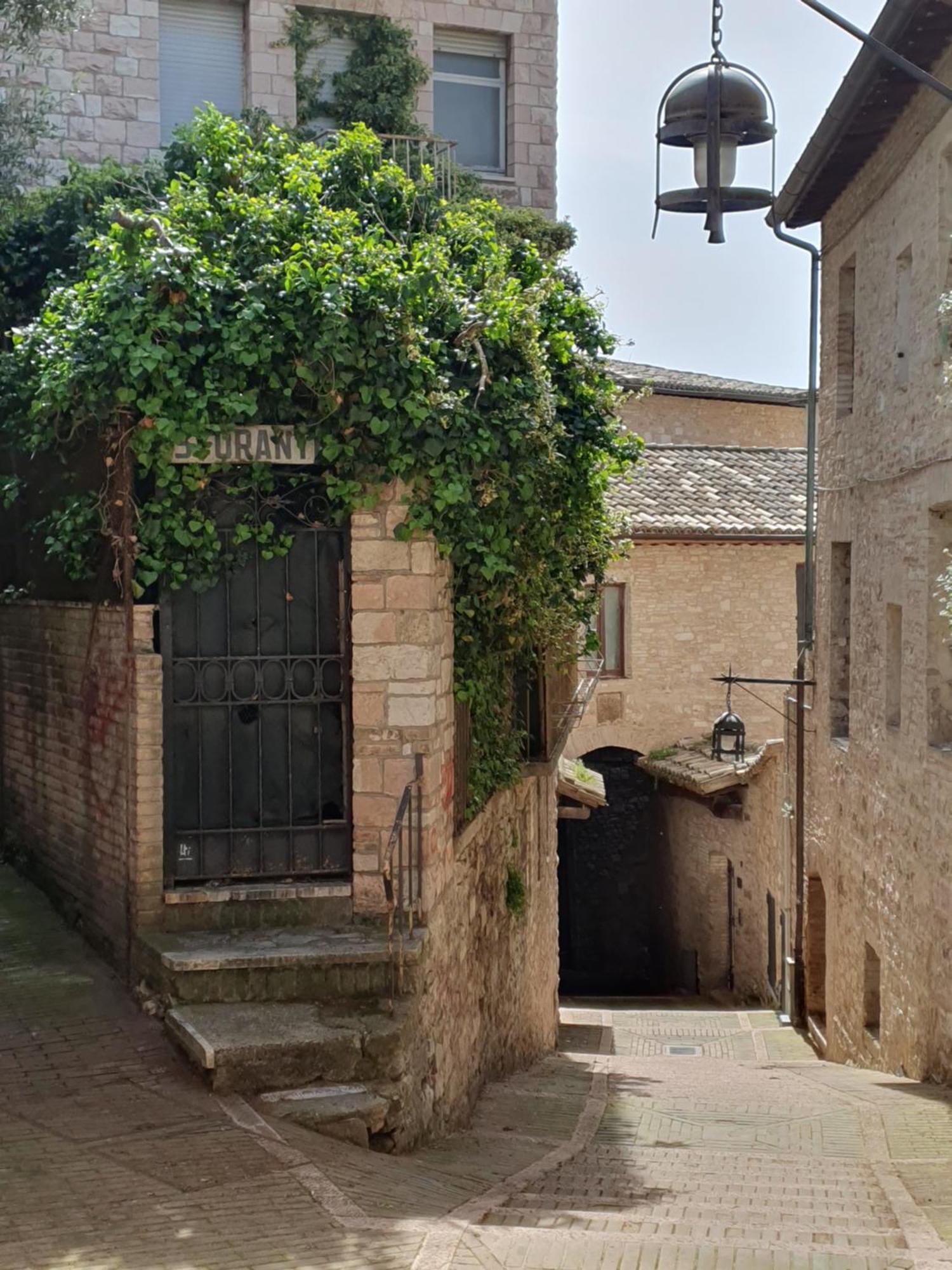 Appartamento La Perla Di Tamara-Assisi Blu Esterno foto